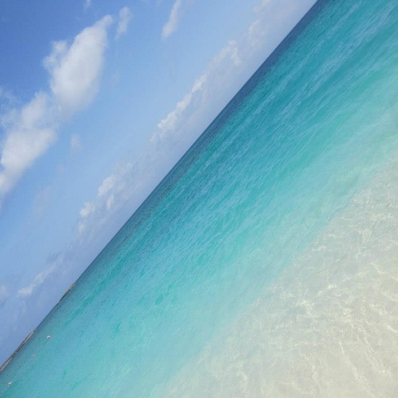 Meet your Posher, Nayeri - Picture 1 of 1